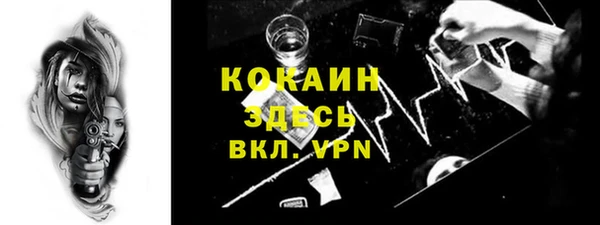 дживик Протвино