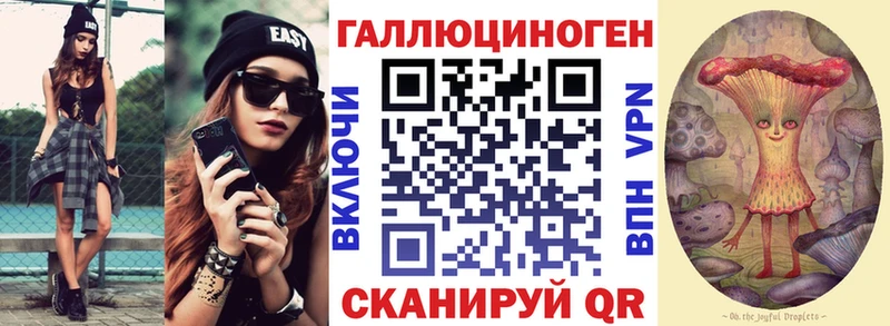 Псилоцибиновые грибы Cubensis  Суоярви 